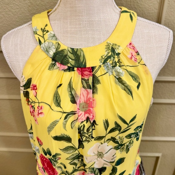 JESSICA HOWARD Women’s Dress Style Maxi Sleeveless Chiffon. Size 10P petite - Picture 5 of 9